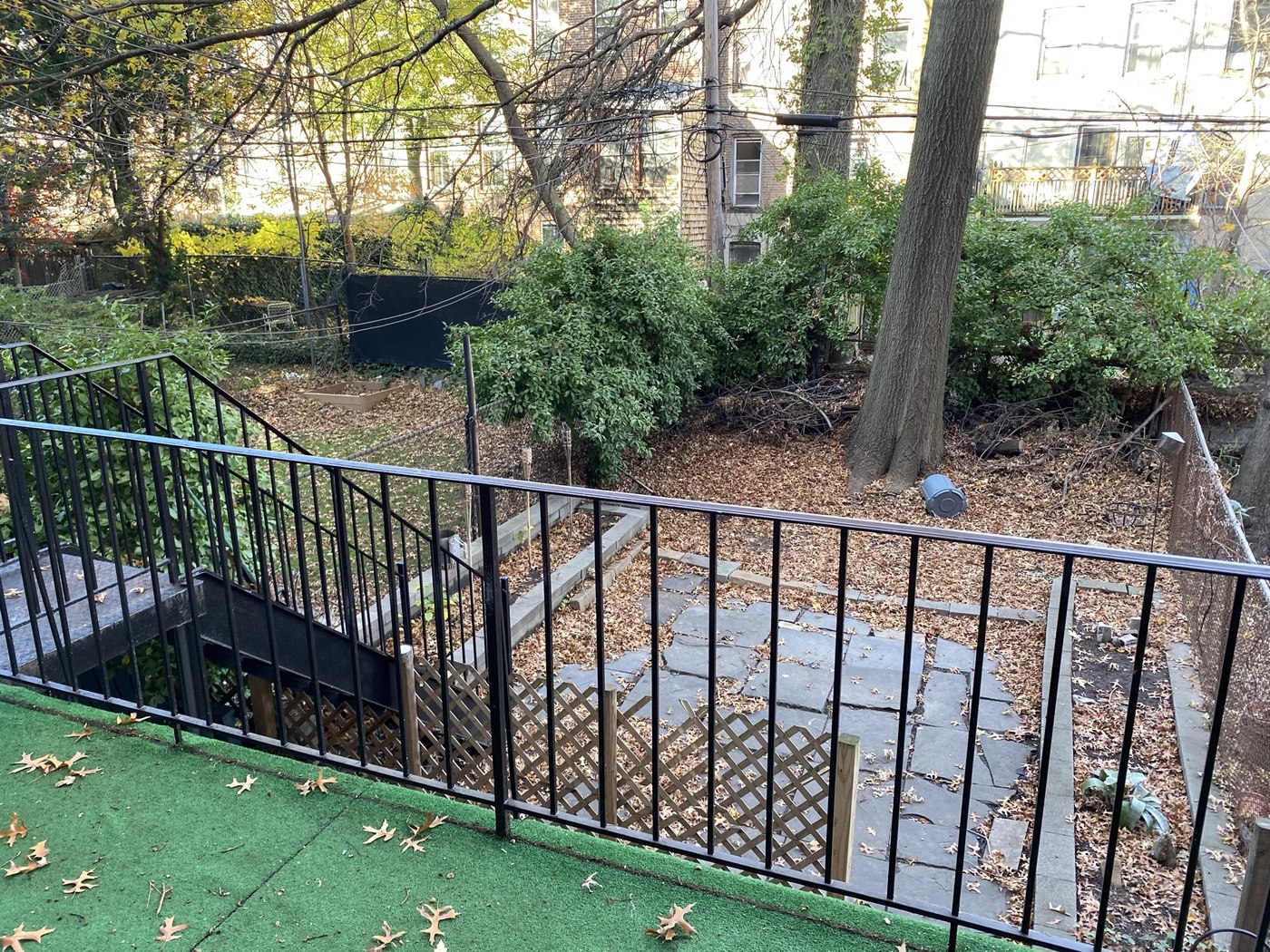 Backyard before renovation, overgrown and covered in fallen leaves
